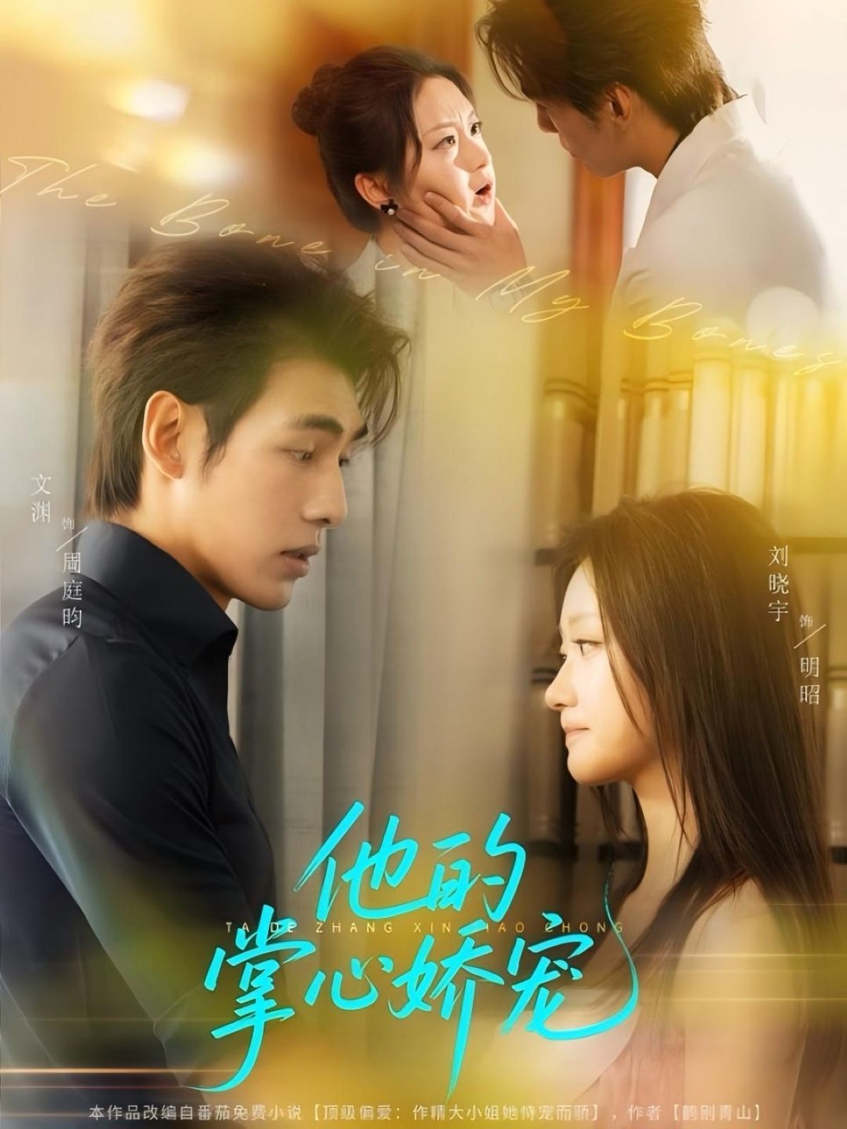 他的掌心娇宠60集全集免费无水印在线观看未删减版 文渊刘晓宇主演 百度网盘夸克网盘资源分享下载  第1张