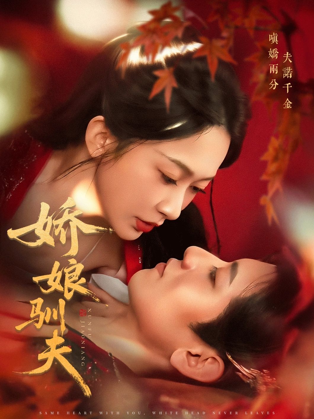 热门短剧娇娘驯夫王金宝迟宁宁82集全集完整版免费无广告在线观看未删减版，百度网盘夸克网盘资源分享下载  第1张