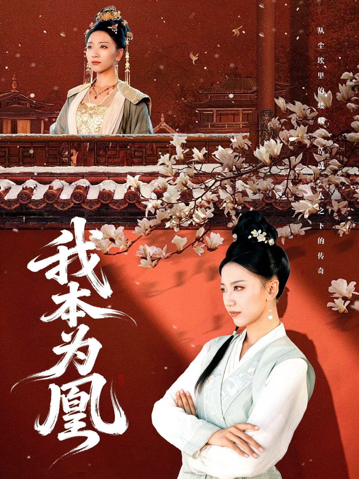 我本为凰傅宇航刘继徽主演82集全集未删减超清免费在线观看，百度网盘夸克网盘免费资源分享下载  第1张