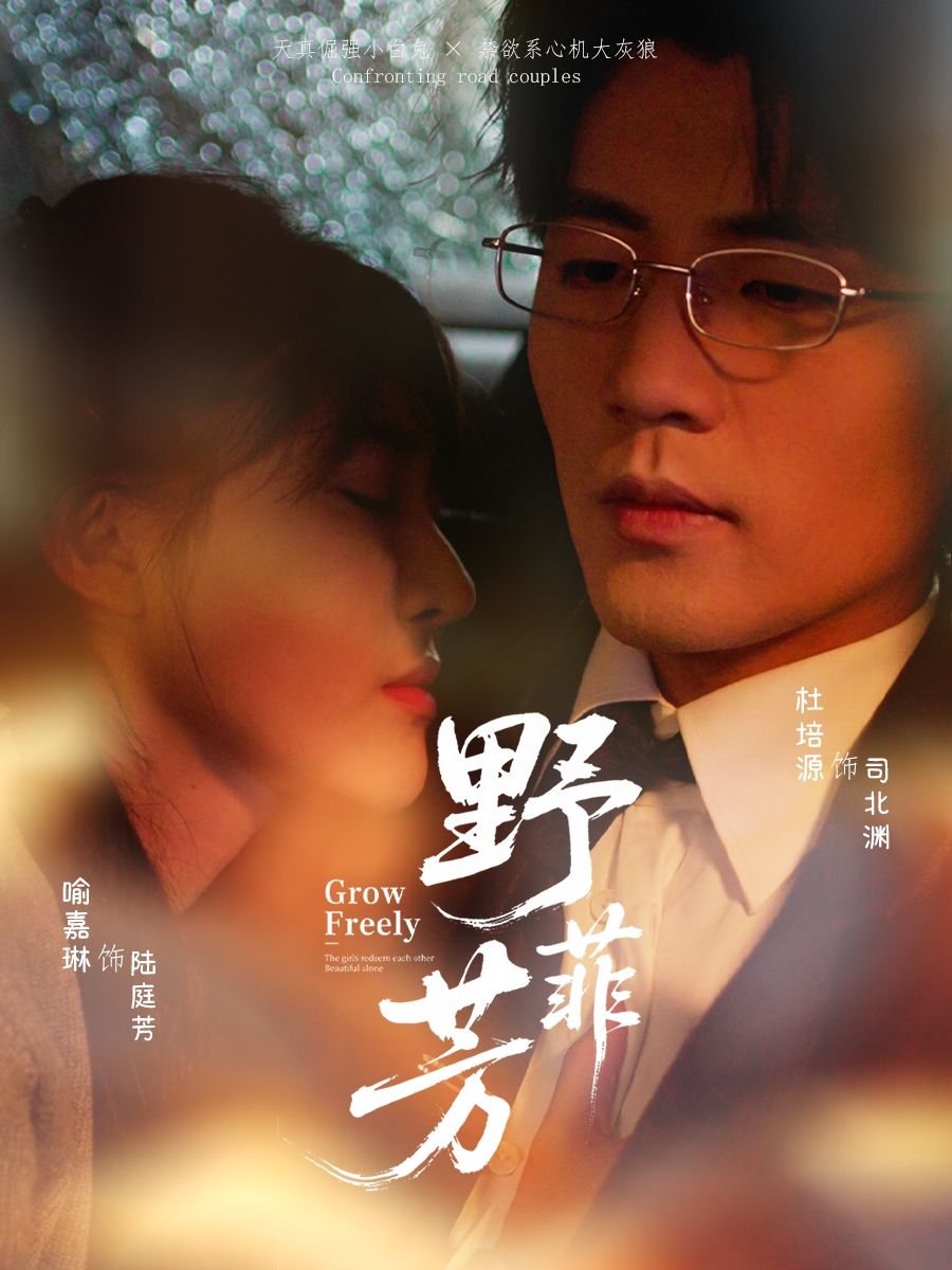 热门短剧野芳菲60集全集完整版未删减，喻嘉琳杜培源主演，免费在线观看播放，百度网盘夸克网盘资源免费分享下载  第1张