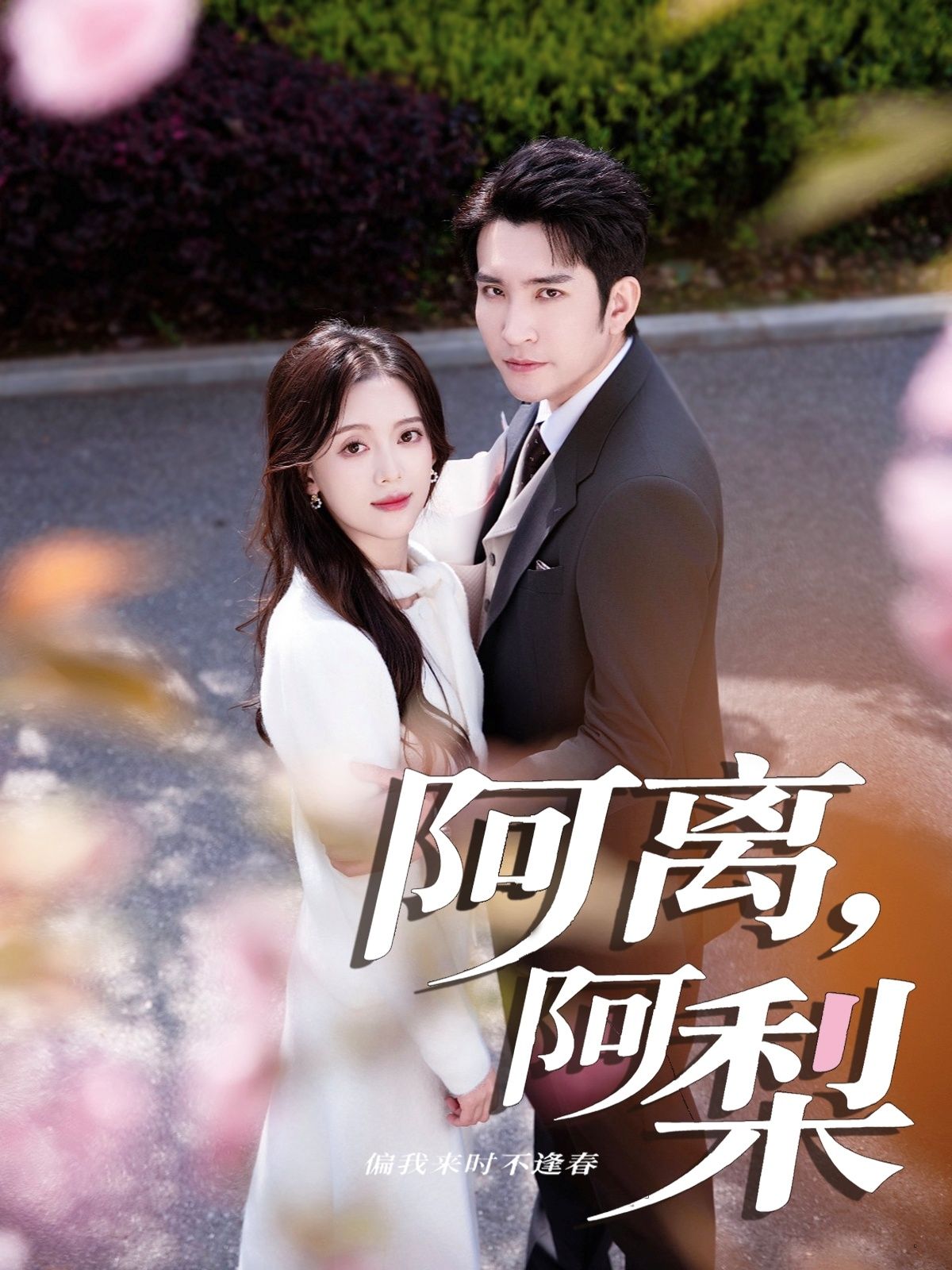 热门短剧阿离阿梨60集全集完整版未删减 王已歌&唐敬主演 免费在线播放观看 百度网盘夸克网盘资源分享下载 第1张 热门短剧阿离阿梨60集全集完整版未删减 王已歌&唐敬主演 免费在线播放观看 百度网盘夸克网盘资源分享下载 第1张