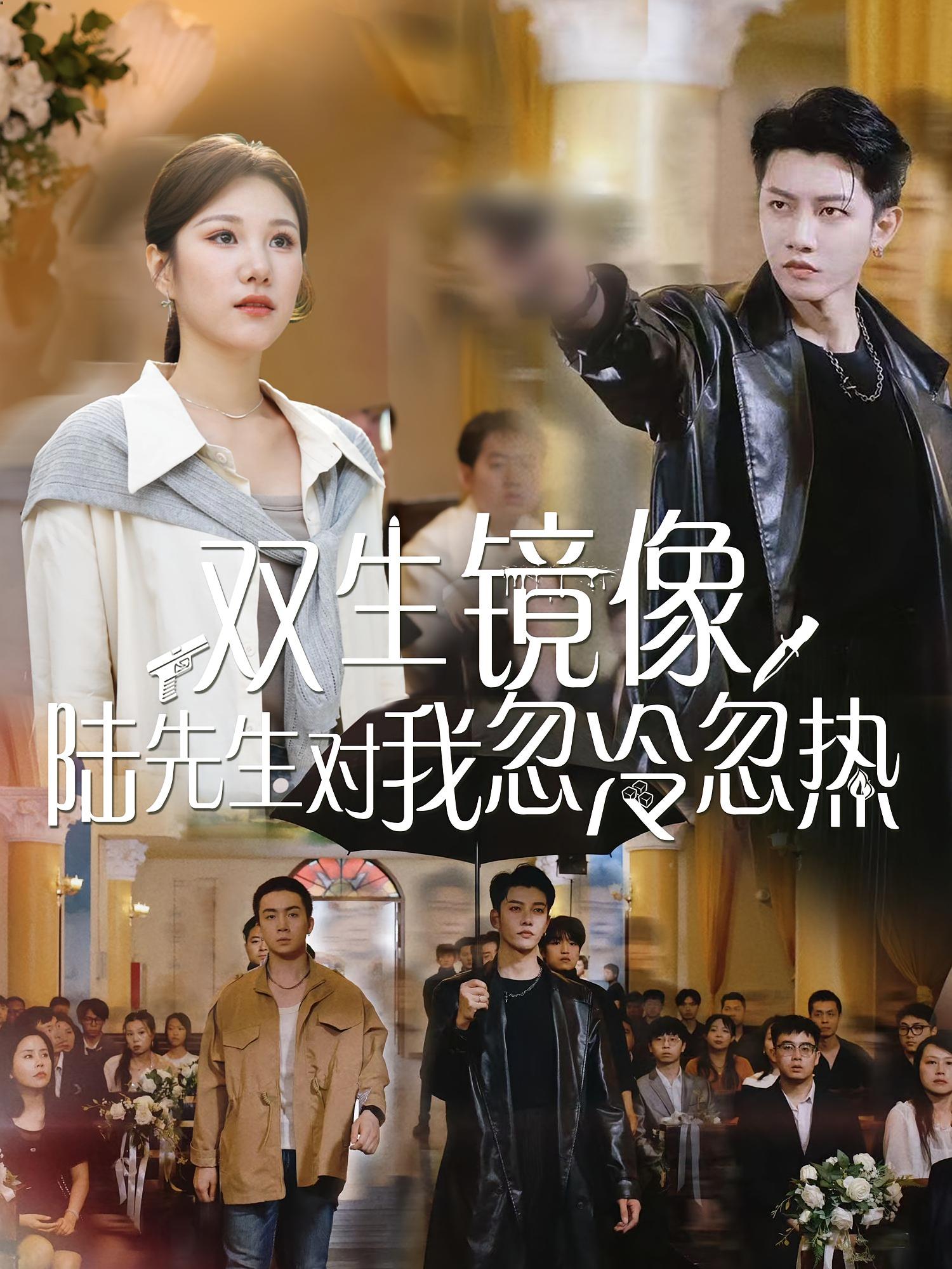 热门短剧双生镜像陆先生对我忽冷忽热61集全集完整版免费观看在线播放未删减版 百度网盘夸克网盘资源分享下载  第1张