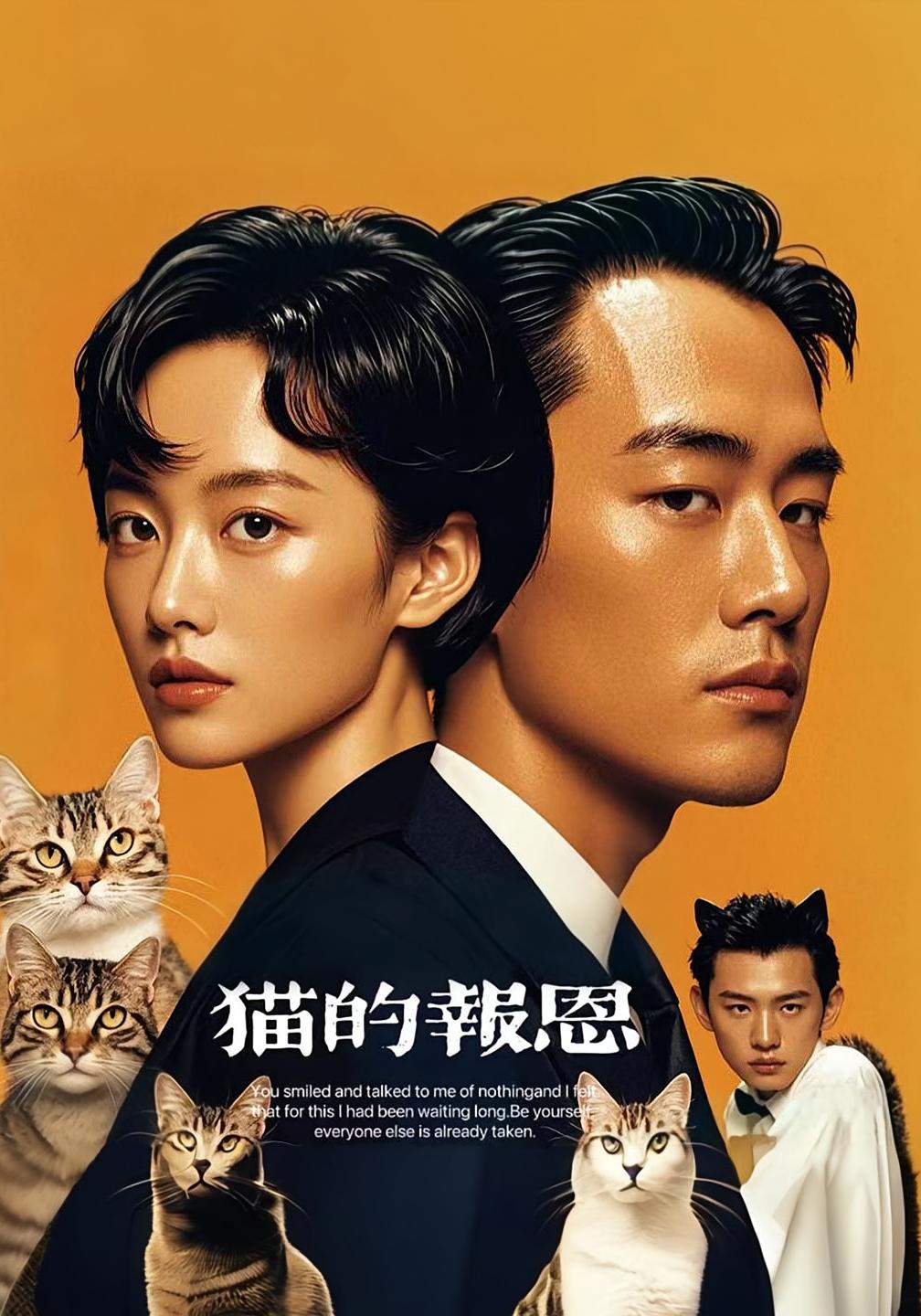 热门短剧猫的报恩60集全集完整版未删减，免费在线观看，百度网盘夸克网盘资源分享下载  第1张