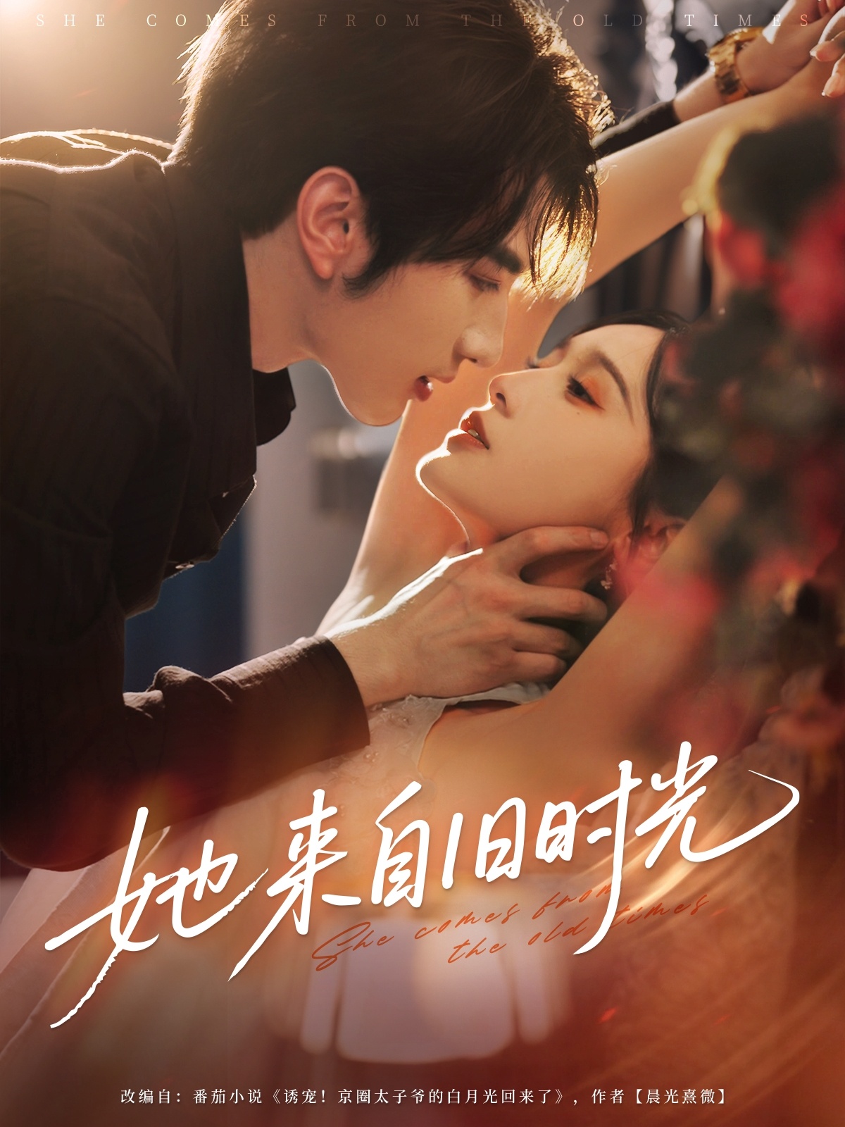 热门短剧她来自旧时光72集全集完整版未删减 谭圳豪甜九洛(林玲)免费在线观看 百度网盘夸克网盘资源分享下载