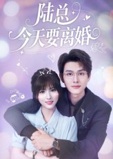 热门短剧《陆总今天要离婚（81集）陈凯洲&李泫逸》 全集完整版极速免费在线观看播放未删减版资源，短剧百度网盘夸克网盘免费资源分享下载  第1张