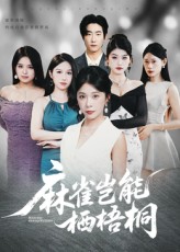 热门短剧《麻雀岂能栖梧桐（31集）》 全集完整版纯净免费在线观看播放未删减版资源，短剧百度网盘夸克网盘免费资源分享下载  第1张