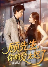 顾先生你的爱太迟了祝国凯罗琳60集全|全集完整版免费无广告在线观看|未删减版百度夸克网盘资源下载