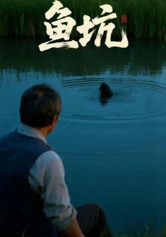 热门短剧鱼坑（30集）付晓月&韩世袆主演，全集完整版超清免费在线观看未删减，百度网盘夸克网盘免费资源分享下载  第1张