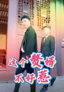 热门短剧这个赘婿不好惹(27集)全集完整版免费稳定在线观看未删减版,百度网盘夸克网盘资源免费分享下载 第1张 热门短剧这个赘婿不好惹(27集)全集完整版免费稳定在线观看未删减版,百度网盘夸克网盘资源免费分享下载 第1张