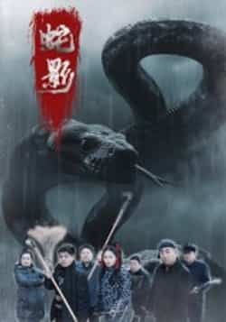 热门短剧蛇影25集刘灵闫一英主演，全集完整版免费在线观看未删减，百度网盘夸克网盘资源下载分享  第1张