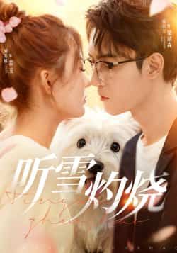 短剧听雪灼烧68集全集完整版免费播放，希尔力刘美娜主演在线观看未删减版，百度网盘夸克网盘免费资源分享下载  第1张