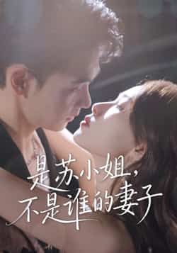 是苏小姐不是谁的妻子全集完整版免费无广告在线观看，未删减版资源，百度网盘、夸克网盘免费分享下载  第1张
