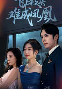 飞上枝头难成凤凰全集完整版未删减，极速免费在线观看，百度网盘夸克网盘免费资源分享下载