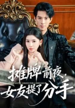 摊牌前夜，女友提了分手短剧全集完整版免费在线观看未删减，百度网盘夸克网盘资源分享下载，热门短剧未删减版在线播放资源  第1张