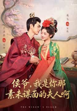 侯爷，我是你那素未谋面的夫人啊热门短剧全集完整版未删减免费在线观看，百度网盘夸克网盘免费分享资源下载  第1张