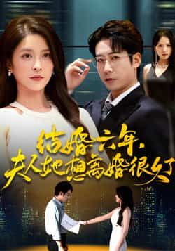 热门短剧结婚六年夫人她想离婚很久了全集完整版高清免费在线观看，未删减版资源，百度网盘夸克网盘免费分享下载  第1张