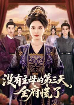 没有主母的第三天，全府慌了全集完整版超清免费在线观看，未删减版百度网盘夸克网盘资源分享下载  第1张
