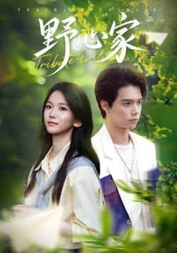 热门短剧野心家全集完整版免费无水印在线观看未删减版,百度网盘夸克网盘免费资源分享下载 第1张 热门短剧野心家全集完整版免费无水印在线观看未删减版,百度网盘夸克网盘免费资源分享下载 第1张