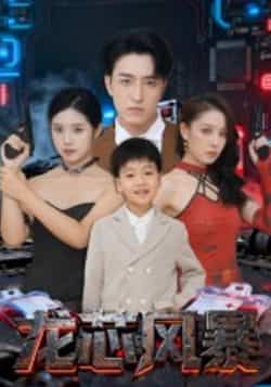 热门短剧龙芯风暴全集完整版免费在线观看未删减版，百度网盘夸克网盘资源免费分享下载