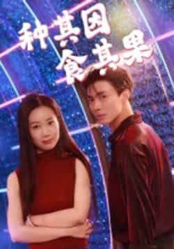 种其因，食其果热门短剧全集完整版未删减，免费在线观看播放，百度网盘夸克网盘资源分享下载